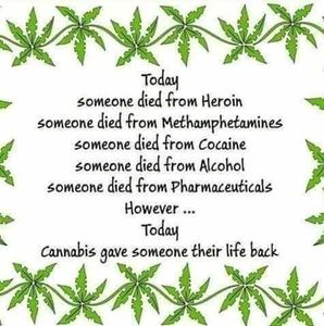 Meet your Posher, Kellie